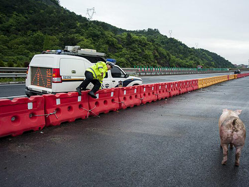 湖南省高速公路總局水馬防撞桶采購項目